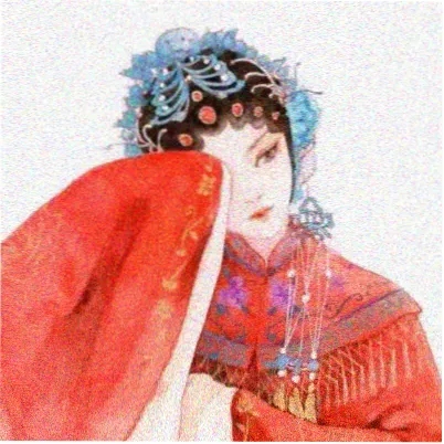 读者听雨轩主头像